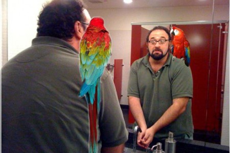 [Parrot News]- Polly Wants a F*cking Cracker