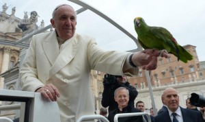 Vatican Pope Birds