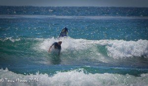 Surfing-001