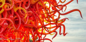 Chihuly-001