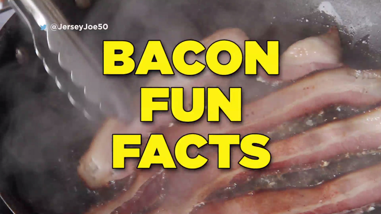 bacon fun facts icon